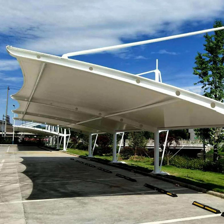 新和县膜结构汽车棚